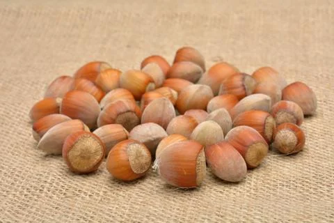 Nuts on old canvas Stock Photos