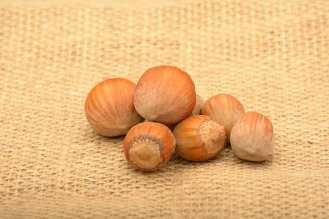 Nuts on old canvas Stock Photos