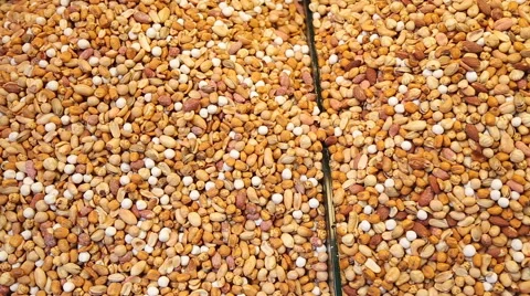 Nuts on a oriental bazaar in Istanbul Stock Footage 50451444