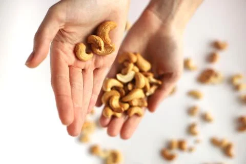 Nuts in the palms Stock Photos