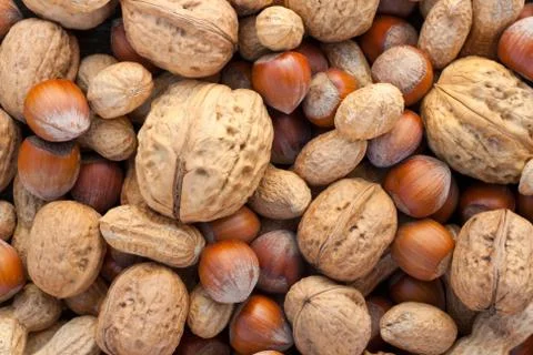 Nuts Stock Photos