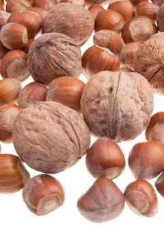 Nuts Stock Photos