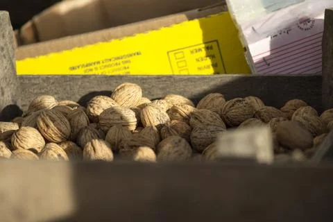 Nuts Stock Photos