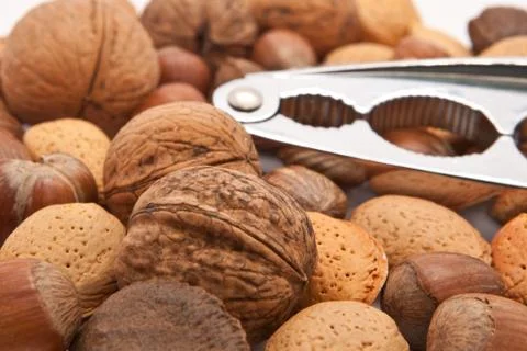 Nuts Stock Photos