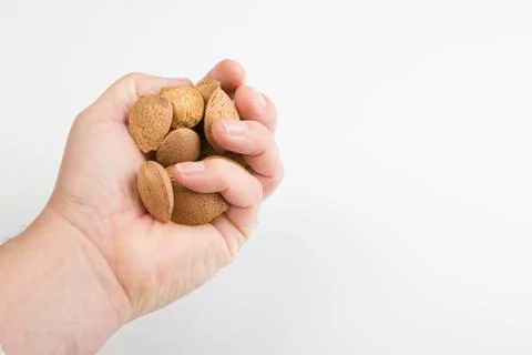 Nuts Stock Photos