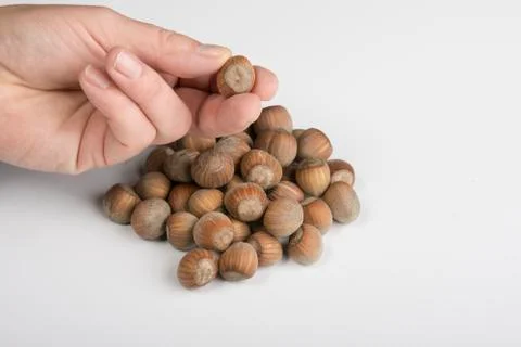Nuts Stock Photos