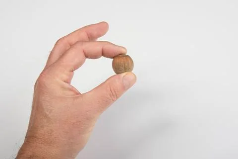 Nuts Stock Photos