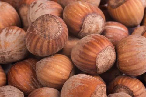 Nuts Stock Photos
