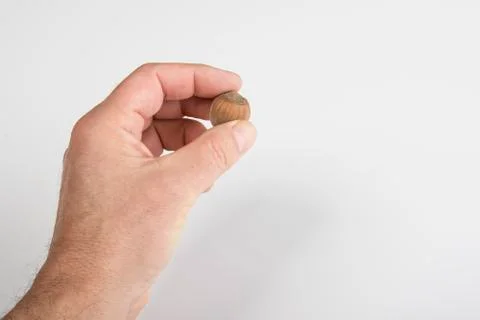 Nuts Stock Photos