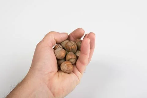 Nuts Stock Photos