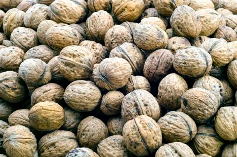 Nuts Stock Photos