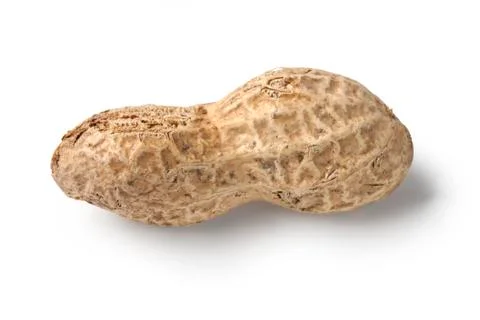 Nuts Stock Photos
