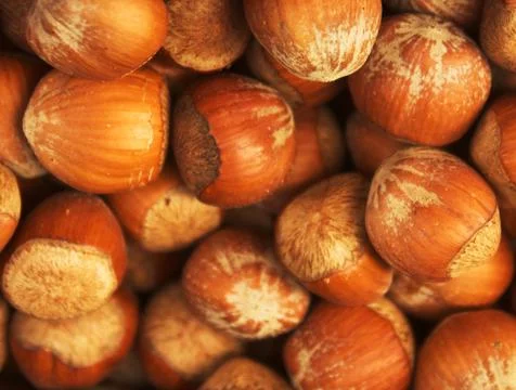 Nuts Stock Photos