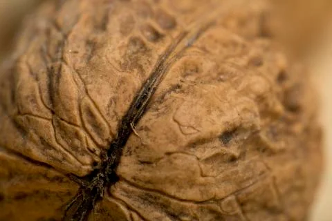 Nuts on a pine wood background. Stock Photos