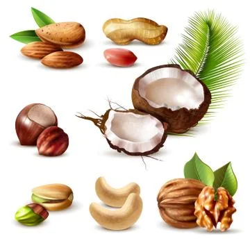 Nuts Realistic Set Illustration