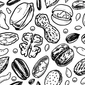 Nuts seamless pattern. Seeds and granule, corn and grain. Hazelnut, Walnut Illustrazione stock