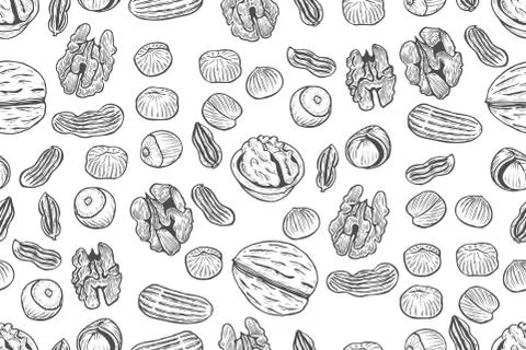 Nuts Seamless vector pattern. Illustrazione stock
