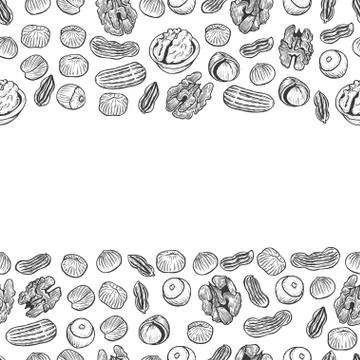 Nuts Seamless vector pattern. Illustrazione stock