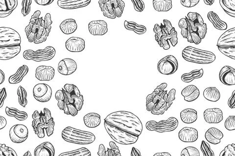 Nuts Seamless vector pattern. Illustrazione stock