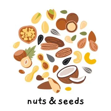 Nuts, seeds and kernelsset in circle shape. Ideal for healthy eating, natur.. Stock Illustration