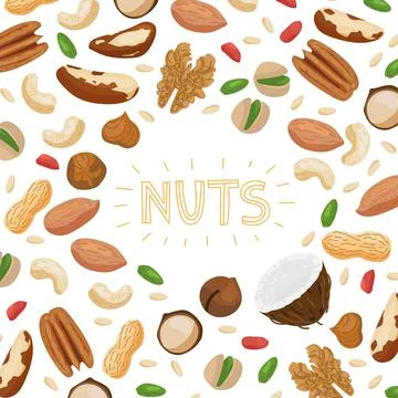 Nuts set with different types of nuts Illustrazione stock