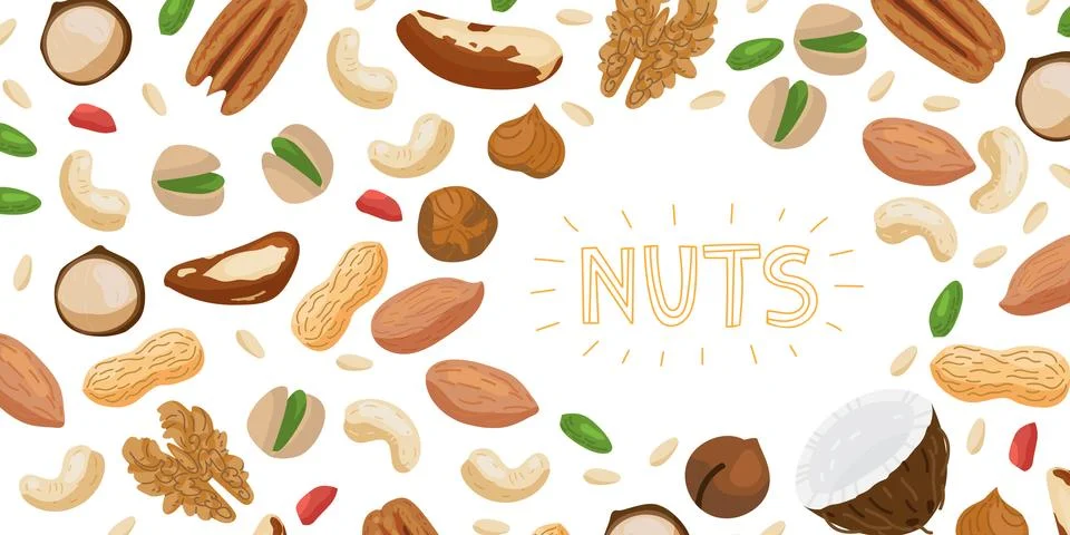 Nuts set horizontal banner with different types of nuts Stock Illustration