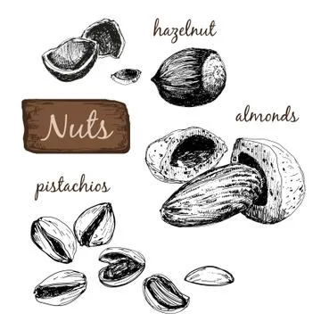 Nuts. Set of illustrations. Stock Illustration