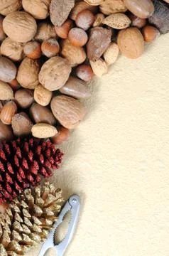 Nuts in shell Stock Photos