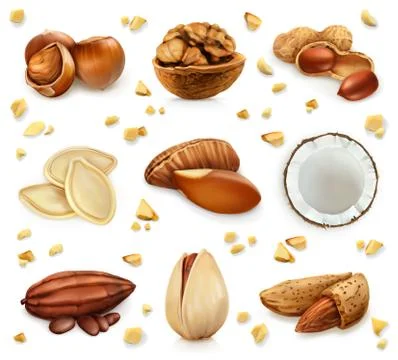 Nuts in the shell, vector icon set Stock Illustration