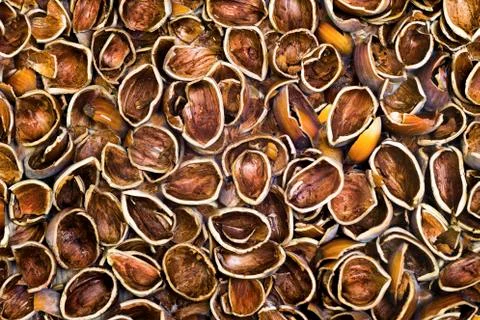 Nuts shells background Foto stock