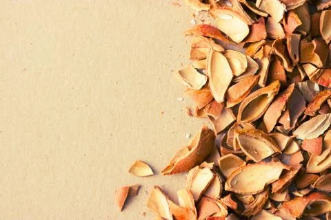 Nuts shells on natural background Stock Photos