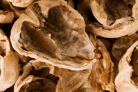 Nuts shells Stock Photos