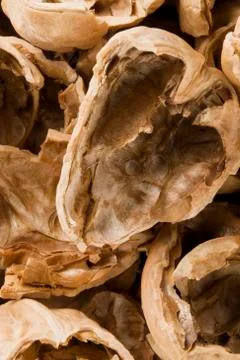 Nuts shells Stock Photos