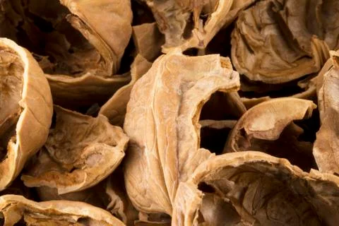 Nuts shells Stock Photos