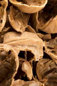 Nuts shells Stock Photos