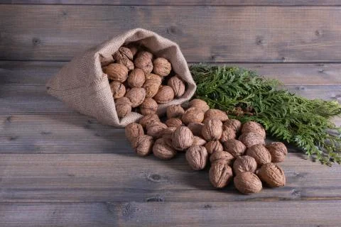 Nuts spilled out of the bag Stock Photos