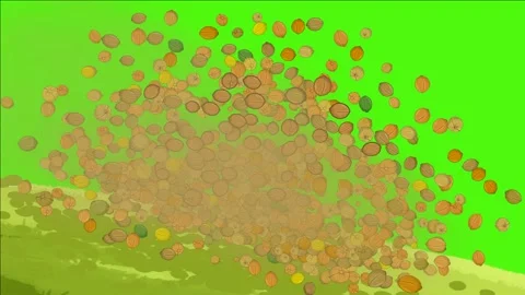 Nuts spreading animation with green screen Video stock 325638349