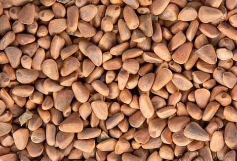 Nuts. Texture of cedar nuts, brown background. Korean (Manchu) pine nuts. Stock Photos
