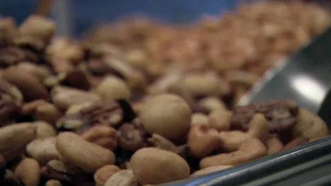 Nuts In a Tray Stock Footage 136395015