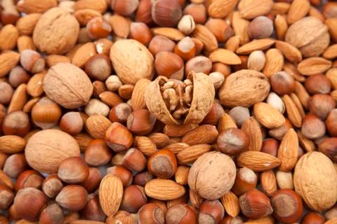 Nuts on a tray Stock Photos