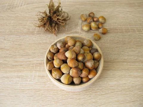 Nuts from the Turkish hazel  Stock Photos