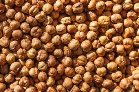 Nuts under the bright sun. Stock Photos
