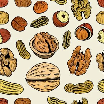 Nuts vector hand drawn seamless pattern. Stock Illustration