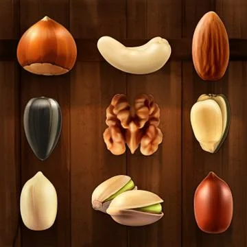 Nuts, vector icon set Stock Illustration