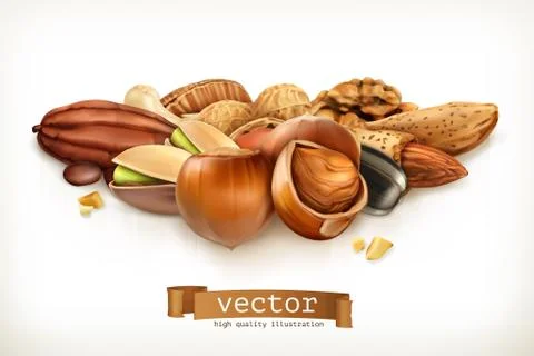 Nuts, vector illustration isolated on white Stock Illustration