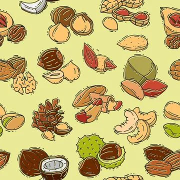 Nuts vector nutshell of hazelnut almond and walnut nutrition illustration set イラスト素材
