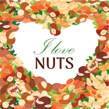 Nuts vector poster. Peanut or coconut and hazelnut, pistachio or almond, walnut Stock Illustration