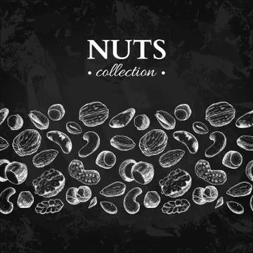 Nuts vector vintage border illustration. Hand drawn chalkboard f Stock Illustration
