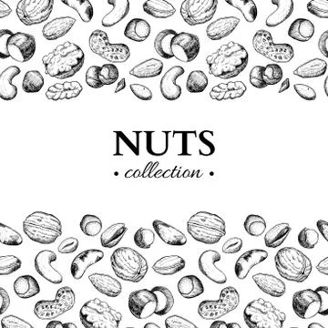 Nuts vector vintage frame illustration. Hand drawn engraved food objects. Stock Illustration