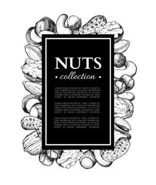 Nuts vector vintage frame illustration. Hand drawn engraved food objects. Stock Illustration